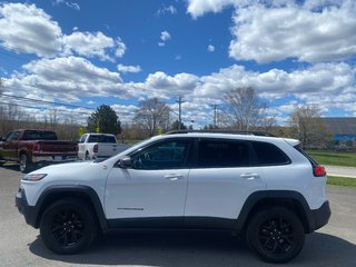 2015  Cherokee TRAILHAWK in Sussex, New Brunswick - 2 - w320h240cpx