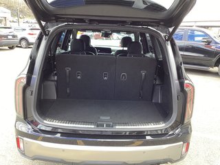 2023 Kia TELLURIDE SX in Saint John, New Brunswick - 6 - w320h240cpx