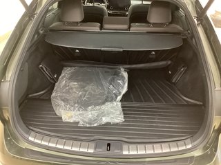 2024 Lexus RX 450H+ in Saint John, New Brunswick - 5 - w320h240cpx