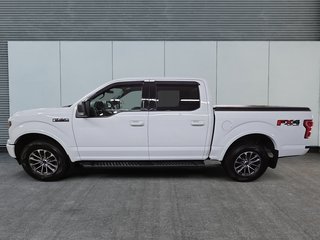 Ford F-150 SUPERCREW XLT FX4 V6 ECOBOOST 4X4 2019 à Sherbrooke, Québec - 5 - w320h240cpx