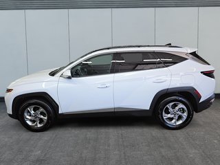 2024 Hyundai Tucson TREND AWD TOIT PANORAMIQUE in Sherbrooke, Quebec - 5 - w320h240cpx