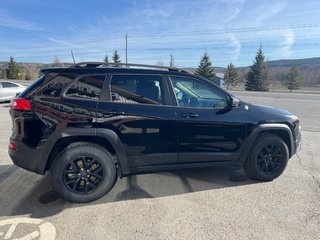2017  CHEROKEE TRAILHAWK Trailhawk in Grand-Sault and Edmunston, New Brunswick - 4 - w320h240cpx