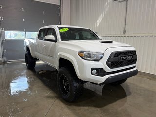 Toyota TACOMA DBL CAB SR5/TRD  2023 à Grand-Sault et Edmunston, Nouveau-Brunswick - 3 - w320h240cpx
