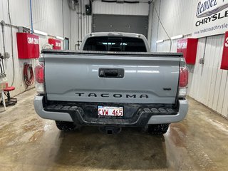 2021 Toyota TACOMA in Grand-Sault and Edmunston, New Brunswick - 5 - w320h240cpx