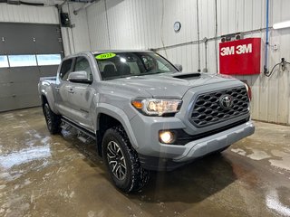 2021 Toyota TACOMA in Grand-Sault and Edmunston, New Brunswick - 3 - w320h240cpx