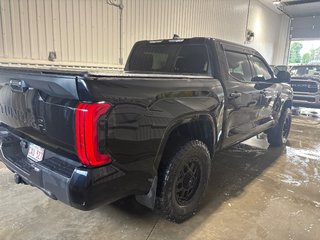 2024 Toyota TUNDRA SR in Grand-Sault and Edmunston, New Brunswick - 5 - w320h240cpx