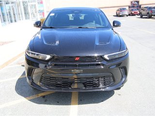 2024  HORNET GT Plus in St. John's, Newfoundland and Labrador - 5 - w320h240cpx