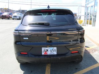 2024  HORNET GT Plus in St. John's, Newfoundland and Labrador - 3 - w320h240cpx