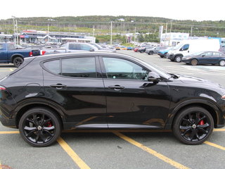 2024  HORNET R/T in St. John's, Newfoundland and Labrador - 5 - w320h240cpx