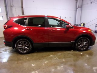 2021  CR-V Sport in St. John's, Newfoundland and Labrador - 3 - w320h240cpx