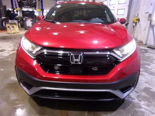 2021  CR-V Sport in St. John's, Newfoundland and Labrador - 4 - w320h240cpx