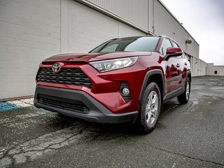 2021  RAV4 XLE in St. John's, Newfoundland and Labrador - 2 - w320h240cpx
