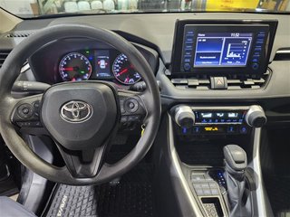 2022  RAV4 LE in St. John's, Newfoundland and Labrador - 5 - w320h240cpx