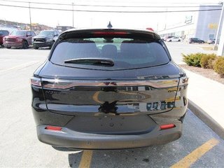 2024  HORNET GT PLUS in St. John's, Newfoundland and Labrador - 3 - w320h240cpx