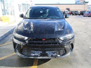 2024  HORNET GT PLUS in St. John's, Newfoundland and Labrador - 4 - w320h240cpx