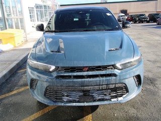 2024  HORNET GT PLUS in St. John's, Newfoundland and Labrador - 4 - w320h240cpx