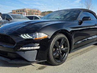 2022 Ford MUSTANG in Saint-Georges, Quebec - 3 - w320h240cpx