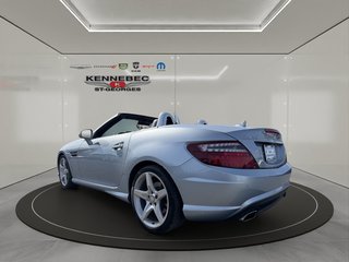 2016 Mercedes-Benz SLK 350 in Saint-Georges, Quebec - 6 - w320h240cpx