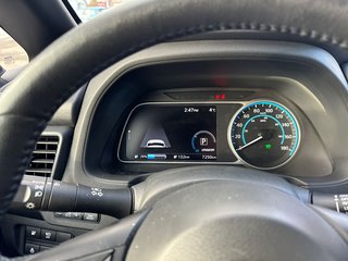 2024  Leaf SV PLUS NAVIGATION in St-Jean-Sur-Richelieu, Quebec - 5 - w320h240cpx