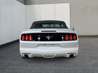 Ford Mustang V6 2016 à Saint-Hyacinthe, Québec - 5 - w320h240cpx