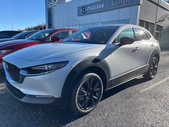 Mazda CX-30 GT 2.5L AWD (EXTRA AERO/CERAMIC/POLYMETAL GREY/WHITE PAINT) Garnet Re 2.5L 2025