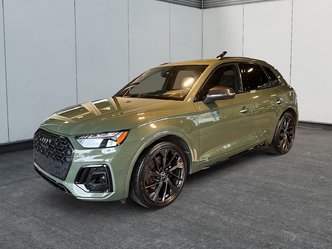 Audi SQ5 Technik 2024