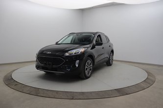 Ford Escape SEL 2021