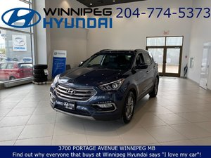 Winnipeg Hyundai | Hyundai Dealership