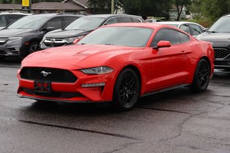 Mustang