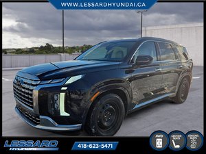 Palisade Ultimate Calligraphy