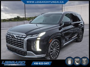 Palisade Ultimate Calligraphy