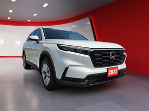 CR-V LX AWD