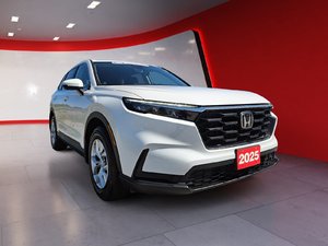 CR-V LX AWD