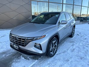 Winnipeg Hyundai | Used vehicles for Sale