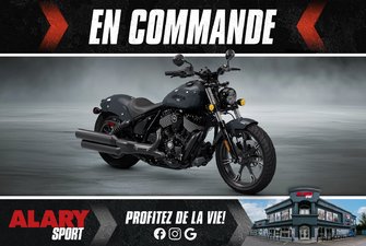 2025 Indian Chief  Dark Horse