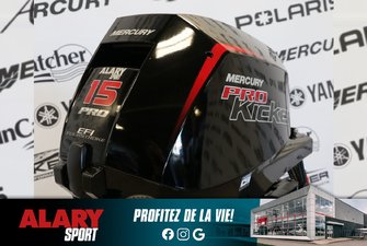 Mercury 15EXLPT PK EFI DÉMARREUR ÉLÈCTRIQUE, X-LONG (25 POUCES) 2025