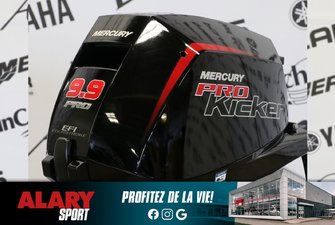 Mercury 9.9ELPT PK EFI À DÉMARREUR ÉLÈCTRIQUE, LONG (20 POUCES) 2024