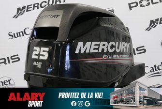 Mercury 25ELPT  2013