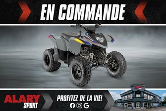 Polaris Phoenix 200  2026
