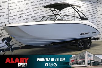 2025 Yamaha AR250