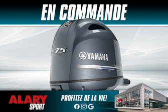 2025 Yamaha F75LB LONG (20 POUCES)