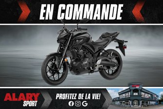 2025 Yamaha MT-03