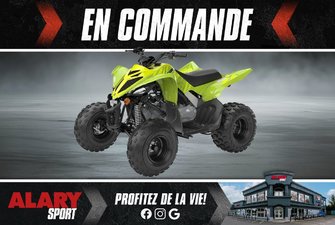 2026 Yamaha RAPTOR 110