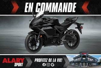 2025 Yamaha YZF-R3