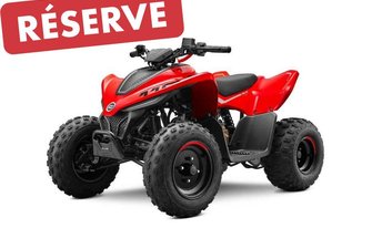 2025 CF Moto CFORCE 110 Classic