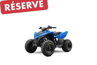 2026 CF Moto CFORCE 110 CLASSIC