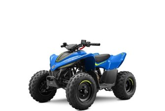 2026 CF Moto CFORCE 110 CLASSIC