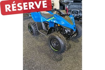 2026 CF Moto CFORCE 110 CLASSIC