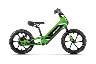 2025 Kawasaki ELEKTRODE 16
