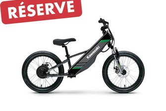 2025 Kawasaki ELEKTRODE 20